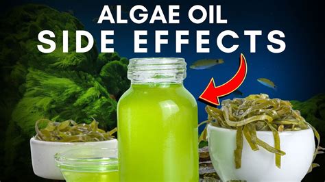 dha from algae side effects